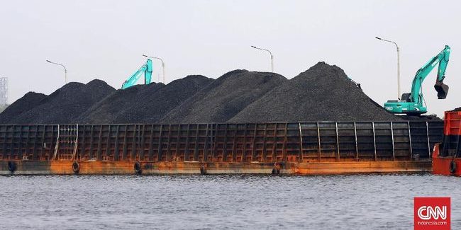 CNN IndonesiaSafir Makki