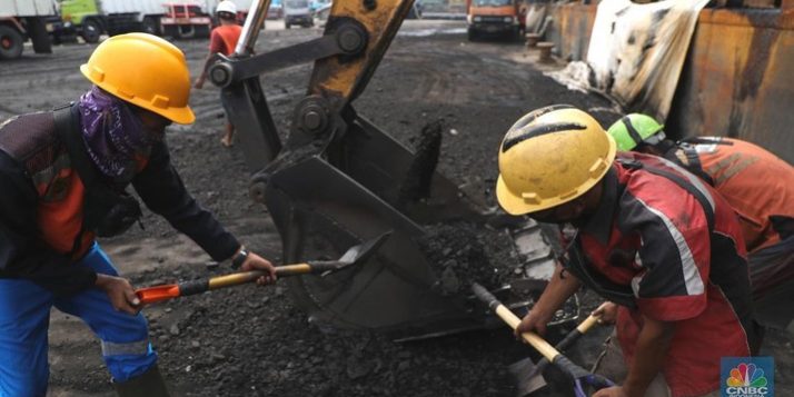 bongkar-muat-batu-bara-4_169