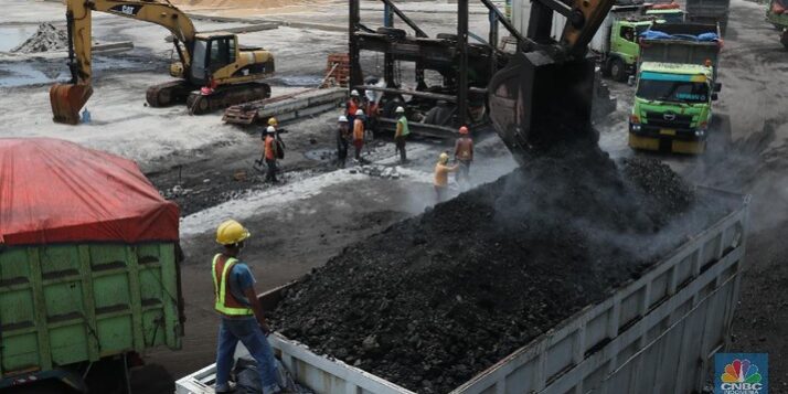 bongkar-muat-batu-bara-5_169