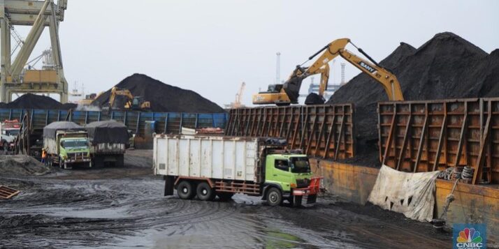 bongkar-muat-batu-bara-10_169